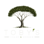 logo removebg preview